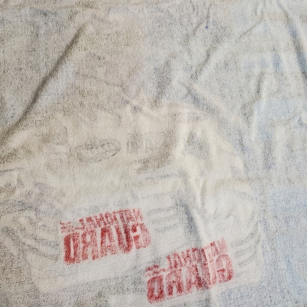 ⛱ Dale Jr 88 Nascar Beach Towel - Picture 13 of 16